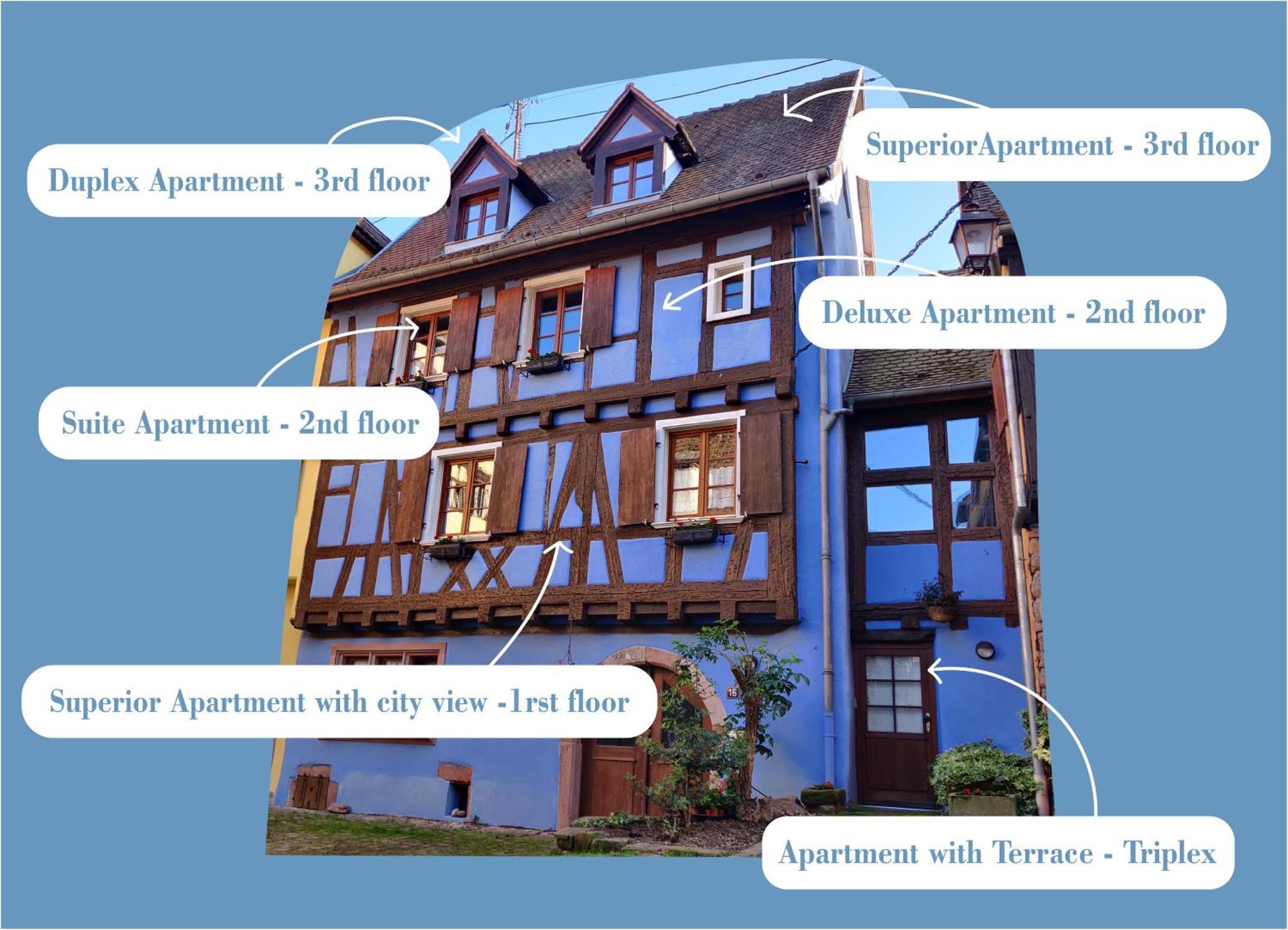 La Maison Bleue - Historic House In The Heart Of Riquewihr Eksteriør bilde